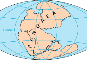 Pangea